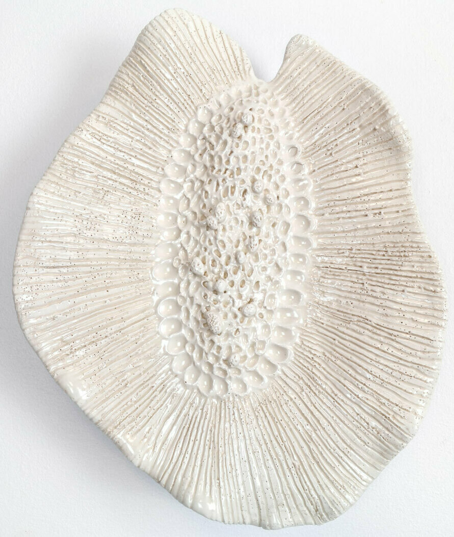 Detailed ceramic wall sculpture depicting the cellular structure of a Nemesia Flower as seen through a micrograph, with an emphasis on organic forms, intricate patterns and textures. 