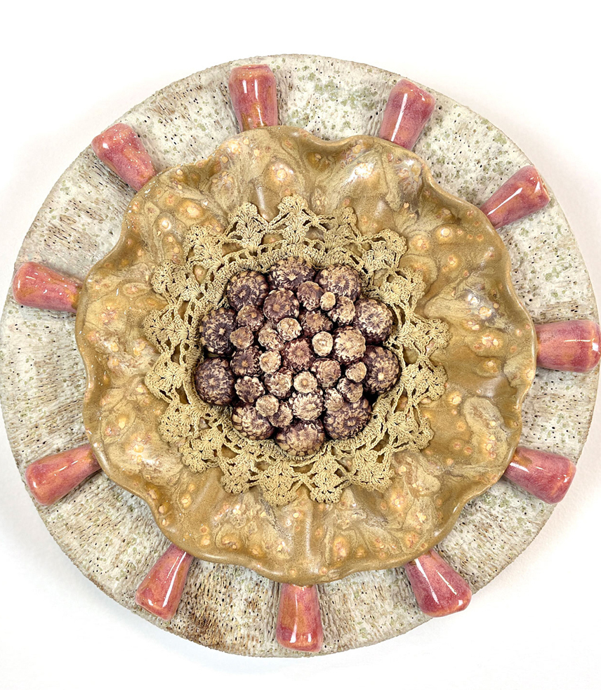 Detailed ceramic wall sculpture depicting the cellular structure of an Amphora Diatom as seen through a micrograph, with an emphasis on organic forms, intricate patterns and textures. 